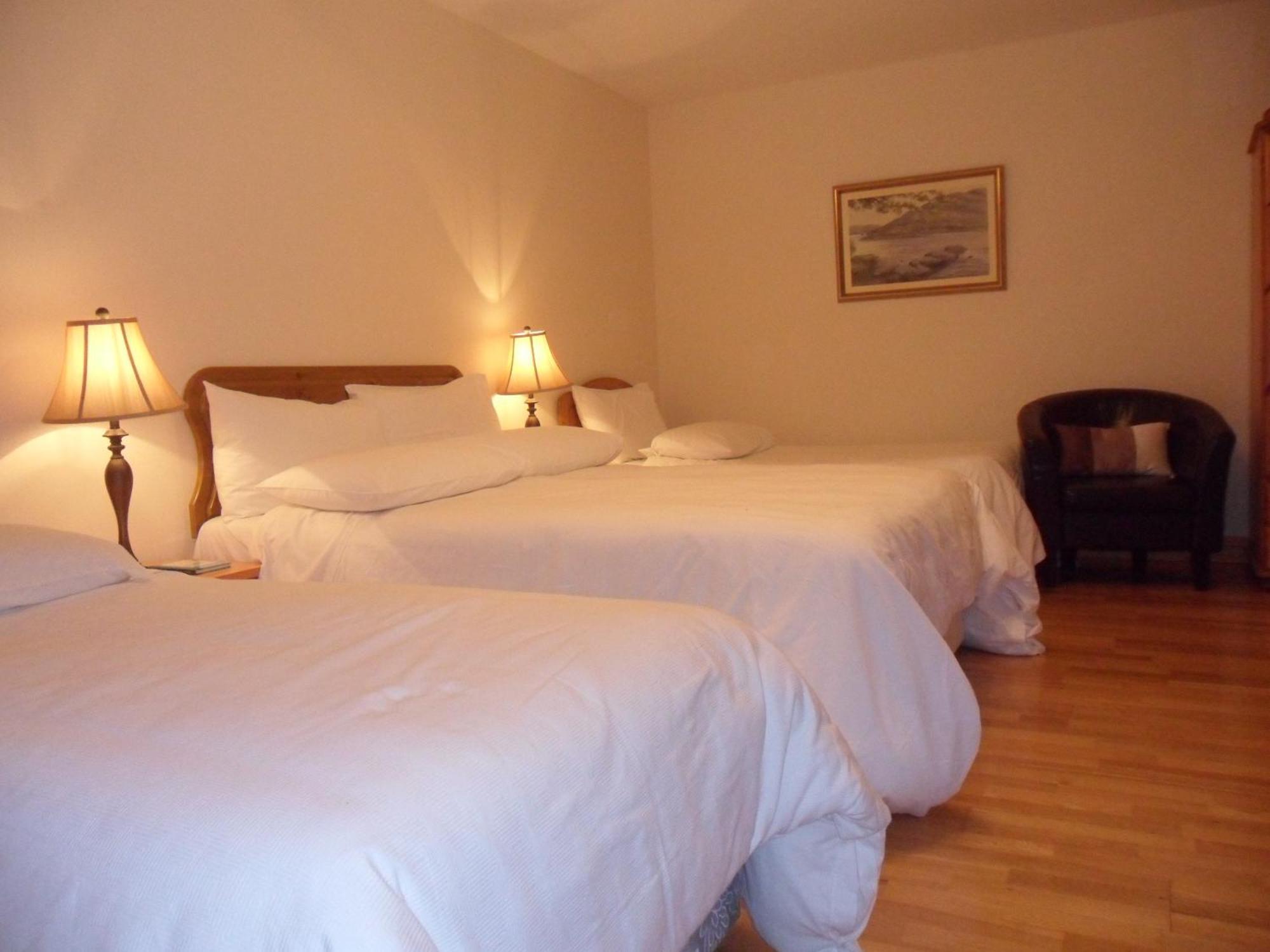Forest Park House B&B บอยล์ ภายนอก รูปภาพ
