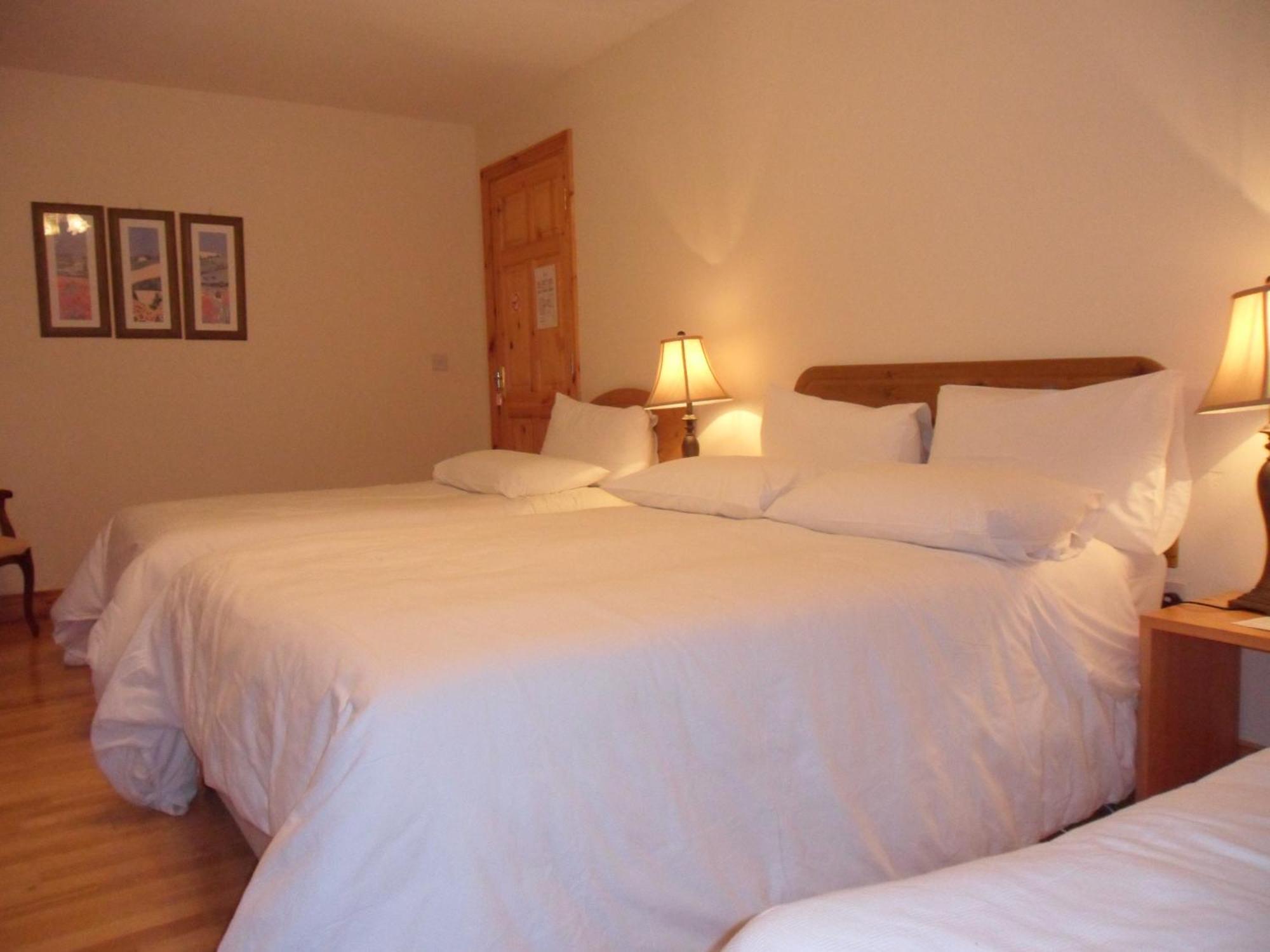 Forest Park House B&B บอยล์ ภายนอก รูปภาพ