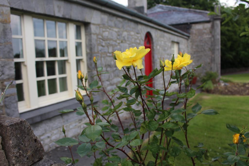 Forest Park House B&B บอยล์ ภายนอก รูปภาพ